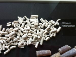 Ferienwohnung Sassnitz