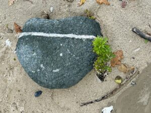 Ferienwohnung Sassnitz